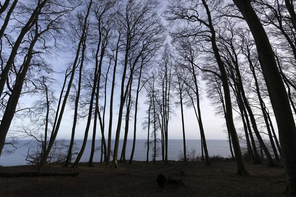 Haya Invierno Isla Ruegen Alemania Disparada Con Luz Fondo —  Fotos de Stock