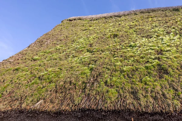 Old Thatched Roof Overgrown Moss — Stock Photo, Image