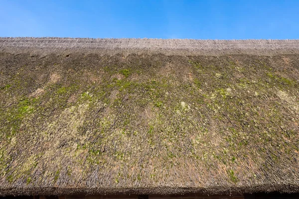 Old Thatched Roof Overgrown Moss — Stock Photo, Image