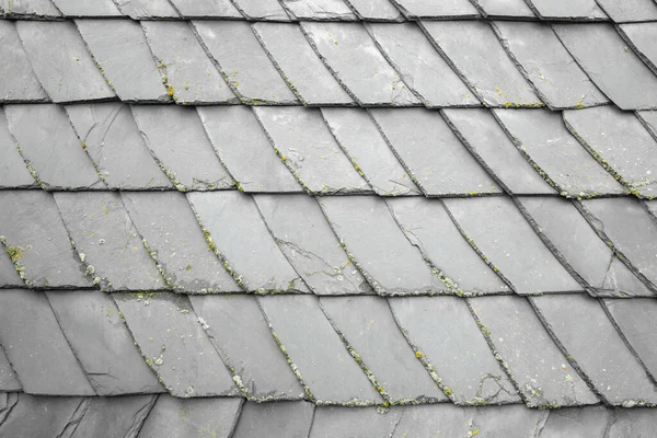 Slate Tiles Typical Home Thuringia Germany Background — Stock Photo, Image