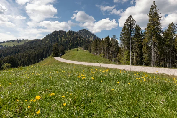 Sentiero Escursionistico Verso Vetta Del Fockenstein Nelle Alpi Bavaresi Germania — Foto Stock