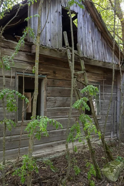 Maison Abandonnée Dans Zone Exclusion Tchernobyl Belarus Russie Blanche — Photo