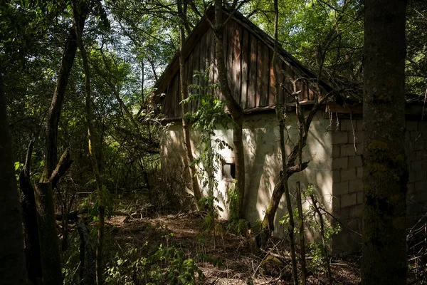 Hogar Abandonado Zona Exclusión Chernobyl Bielorrusia White Russia —  Fotos de Stock