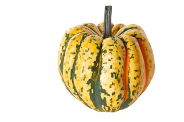 Beyaz arkaplanda tüm bukalemun kabağı izole