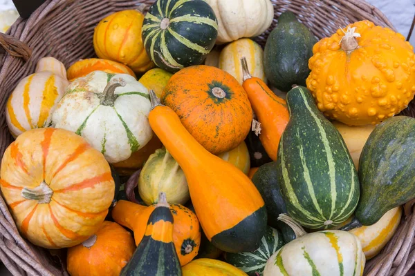 Groep Van Verschillende Pompoenen Een Mand — Stockfoto