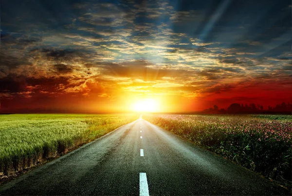 Magnificent View Asphalt Road Background Sunset Road Fields Wheat Steppe — Stock Photo, Image