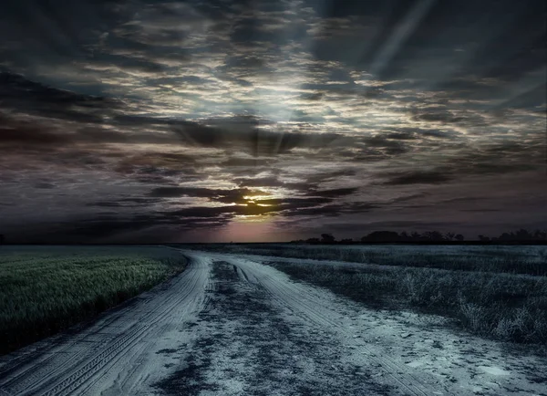 Uiheynjde の素晴らしい景色 夕日に対して 小麦と草原の草のフィールドの間の道路 地平線に沈む夕日 — ストック写真