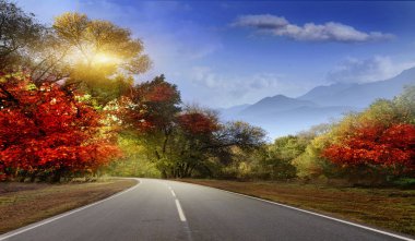 Mavi gökyüzü ve dağ manzarasına karşı kırmızı ve sarı yaprakları ile erken sonbaharda asfalt yol