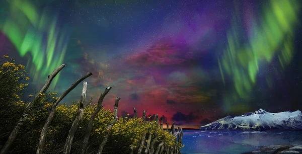 不真实的美丽夜景 反映了北极光在海洋和雪山的水中 夜晚北极光只是一个惊人的景象 — 图库照片