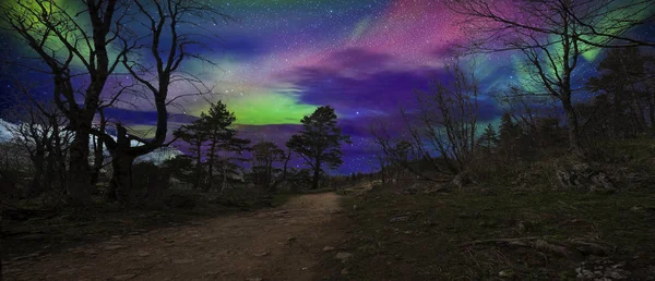 Sehr Malerischer Blick Auf Die Nördlichen Berge Und Den Wald — Stockfoto