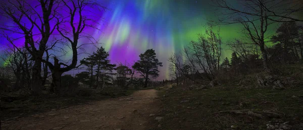 Vista Molto Pittoresca Delle Montagne Del Nord Foresta Con Montagne — Foto Stock