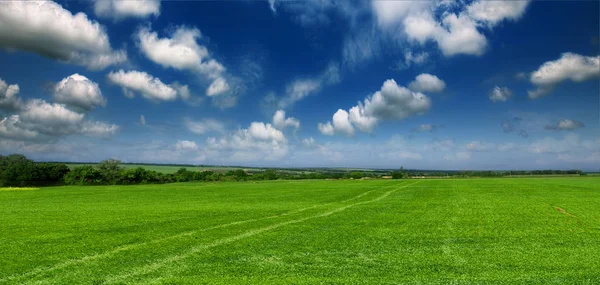 Bellissimo campo verde — Foto Stock