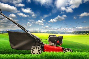 Çim biçme makinesi biçme