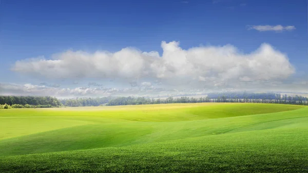 Зелене поле і блакитне небо Ліцензійні Стокові Фото