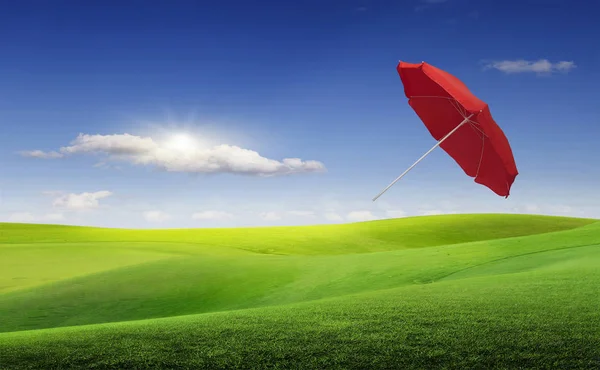 Червона парасолька летить під поривом вітру над лугом Стокова Картинка