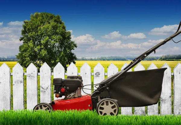 Lawn mower mows