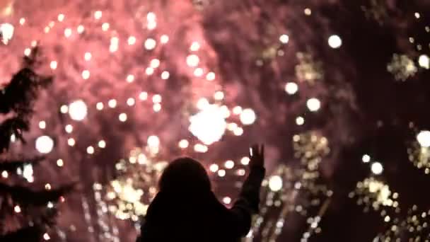Das Mädchen fotografiert Feuerwerkskörper mit dem Handy. Silhouette auf dem Hintergrund des von Lichtern erleuchteten Himmels. — Stockvideo