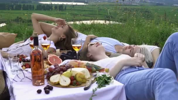 Jonge happy vrienden gek rond in de frisse lucht. Zomerpicknick met uitzicht op de bergen Videoclip