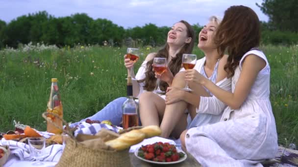 Mladí rádi přátelé, smích a pití vína na piknik, při západu slunce s výhledem na hory. — Stock video