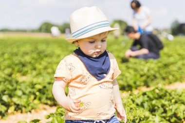 Hasır şapka çilek çilek alanında toplama bir bebekle