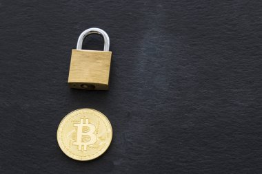 Bitcoin Cryptocurrency dijital Bit sikke Btc para birimi teknoloji iş Internet kavramı.
