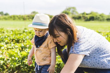 Hasır şapka çilek çilek alanında toplama bir bebekle