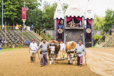 Şövalyeler, performansları, ile Ortaçağ turnuva gösterir, yiyecek ve içecek tipik bir alan Kaltenber, Almanya.