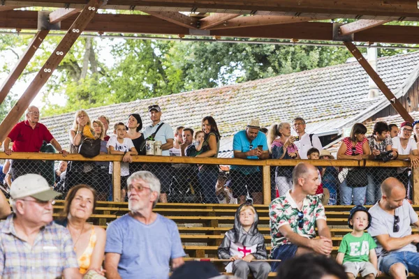 Torneio Medieval Com Cavaleiros Espetáculos Comidas Bebidas Típicos Região Kaltenber — Fotografia de Stock