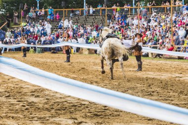 Şövalyeler, performansları, ile Ortaçağ turnuva gösterir, yiyecek ve içecek tipik bir alan Kaltenber, Almanya.