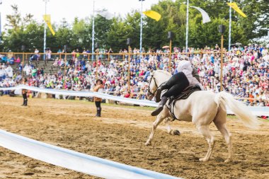 Şövalyeler, performansları, ile Ortaçağ turnuva gösterir, yiyecek ve içecek tipik bir alan Kaltenber, Almanya.