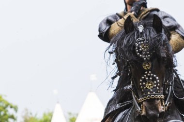 Kaltenberg, Almanya - 15 Temmuz 2018: Kaltenberger Ritterturnier, şövalyeler, performansları, gösterir, gıda ve içecek tipik Kaltenberg, Almanya'da çevrenin Medievaltournament.