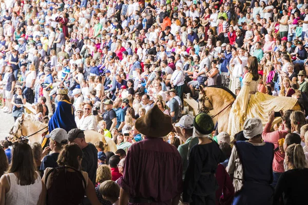 Torneio Medieval Com Cavaleiros Espetáculos Comidas Bebidas Típicos Região Kaltenber — Fotografia de Stock