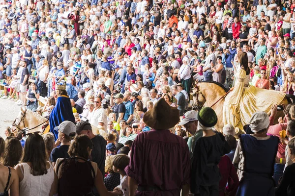 Torneio Medieval Com Cavaleiros Espetáculos Comidas Bebidas Típicos Região Kaltenber — Fotografia de Stock