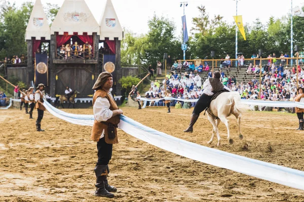 Şövalyeler, performansları, ile Ortaçağ turnuva gösterir, yiyecek ve içecek tipik bir alan Kaltenber, Almanya.