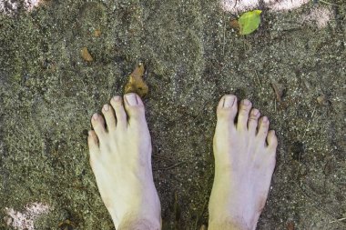 yüzeyi ormandaki çıplak ayakla havadan görünümü