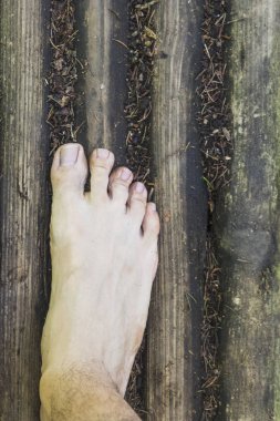 Ormanın içinde ahşap yüzey üzerinde yalınayak havadan görünümü