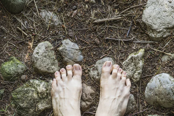 Vista Aerea Piedi Nudi Sulla Superficie Pietra Nella Foresta — Foto Stock