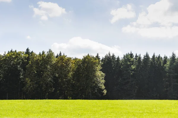 Une Prairie Verte Côté Forêt — Photo