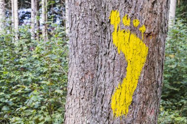 Yaya için ormandaki bir ağaç üzerinde sarı bir ayak izi imzalar. Geçit sembolü.