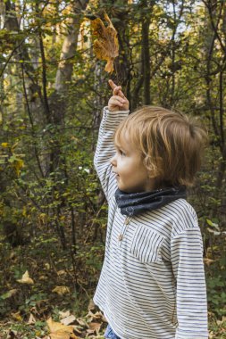 Sonbaharda bir orman yolu üzerinde oynayan bebek