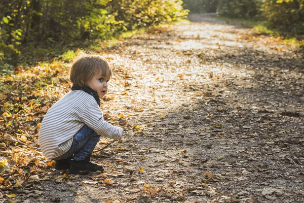 Дитина Грає Лісовій Стежці Восени — стокове фото