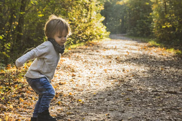 Bebê Brincando Caminho Floresta Outono — Fotografia de Stock