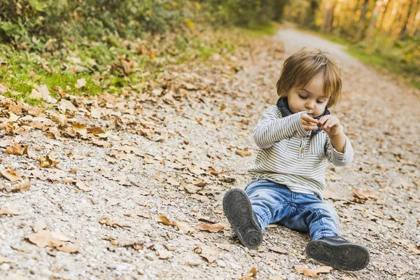 Bebê Brincando Caminho Floresta Outono — Fotografia de Stock