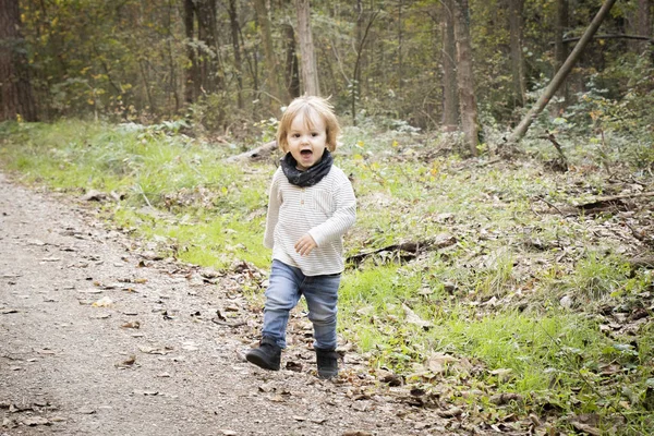 Bebê Brincando Caminho Floresta Outono — Fotografia de Stock