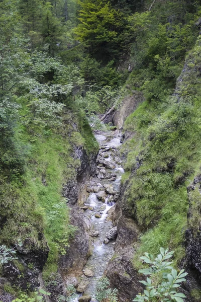 Fiume Che Attraversa Montagne Foreste — Foto Stock