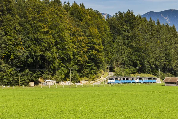 Ein Zug Durch Den Wald Eines Grünen Tals — Stockfoto