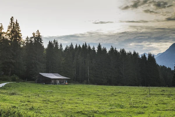 Eine Holzhütte Der Nähe Eines Waldes — Stockfoto