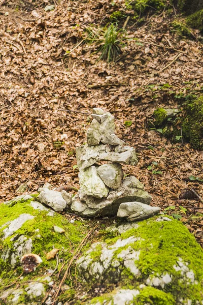 Several Stones Equilibrium Pile Rocks Forest Autumn — Stock Photo, Image