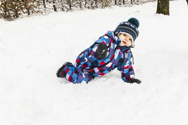 Bebê Neve Floresta — Fotografia de Stock
