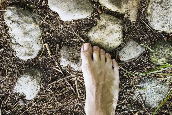 Vista Aerea Piedi Nudi Sulla Superficie Pietra Nella Foresta — Foto Stock